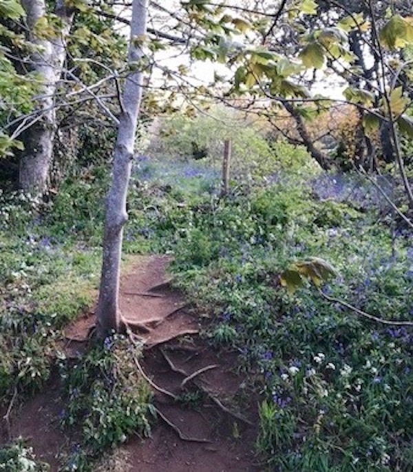 Mottistone