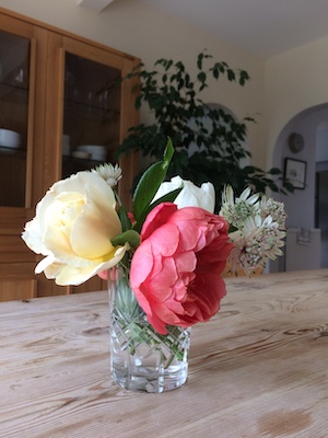 Roses
