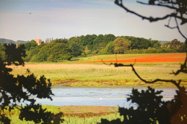 The Causeway Freshwater