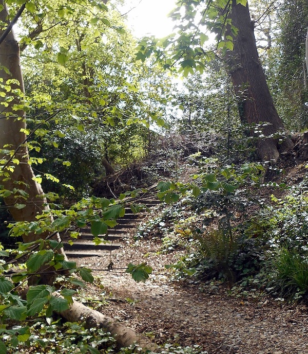 Mornington copse T 